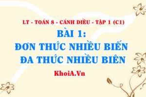 Đơn thức, đa thúc nhiều biến, thu gọn là gì, cách tính giá trị của đa thức? Toán 8 bài 1 c1cd1